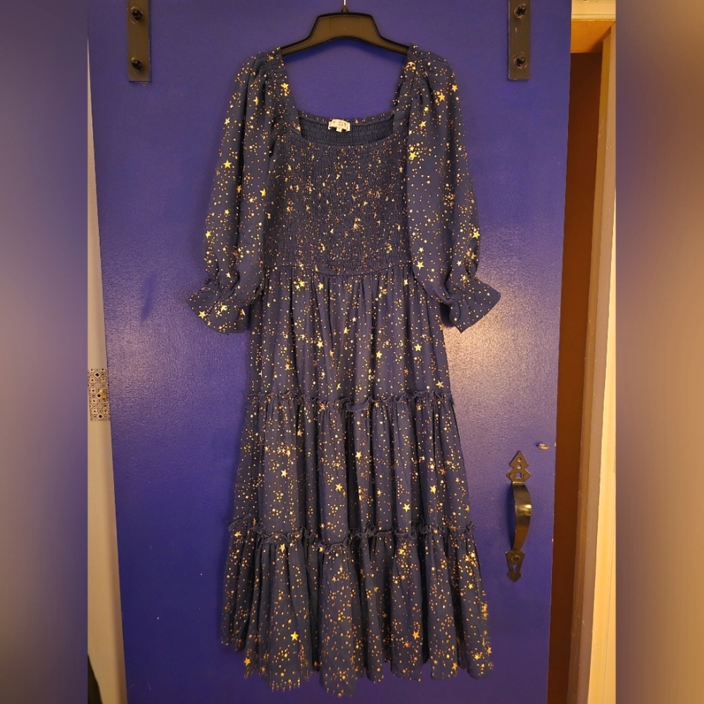 Ivy City Co Midsummer Nights Dress